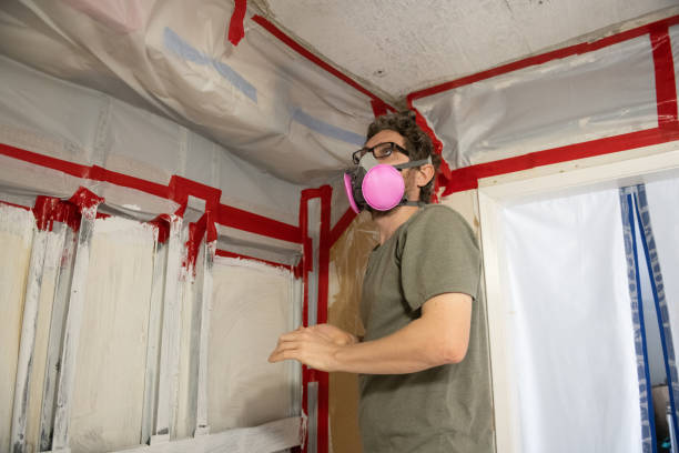 Best Black Mold Removal  in Coloma, MI