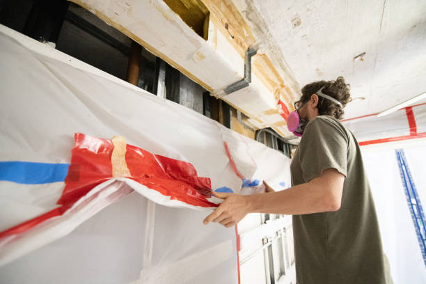 Best Attic Mold Removal  in Coloma, MI