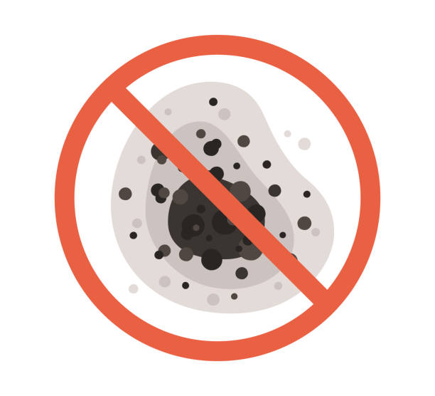 Best Mold Removal for HVAC Installations  in Coloma, MI