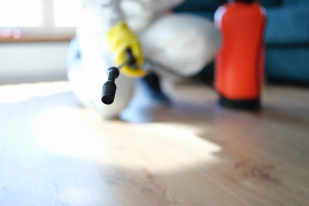 Best Commercial Mold Inspection  in Coloma, MI