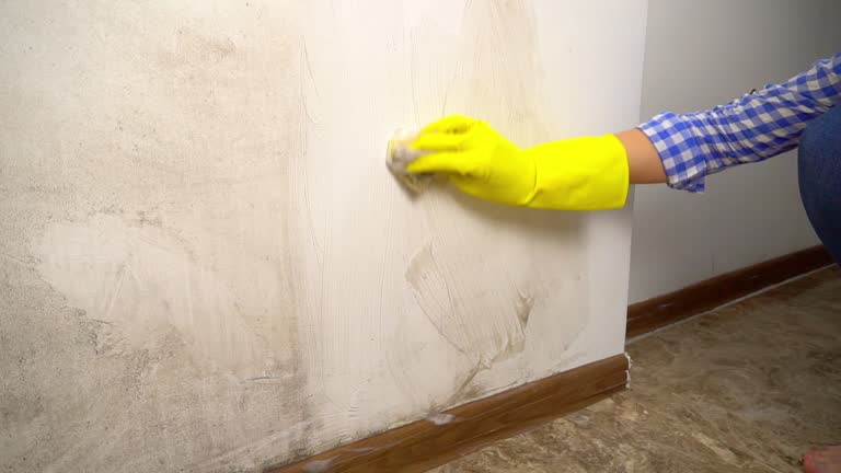 Best Mold-Related Health Consultation  in Coloma, MI