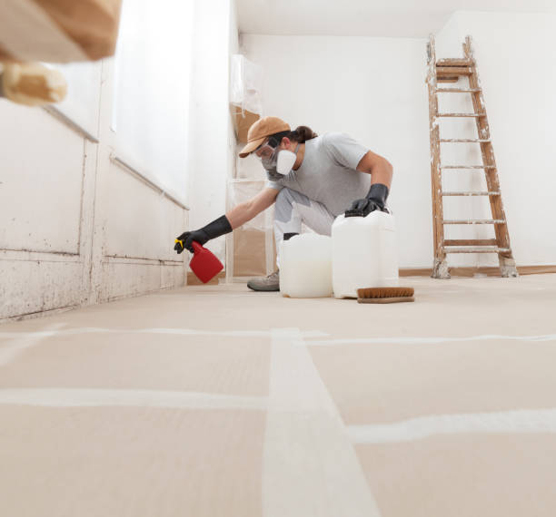 Best Industrial Mold Remediation  in Coloma, MI